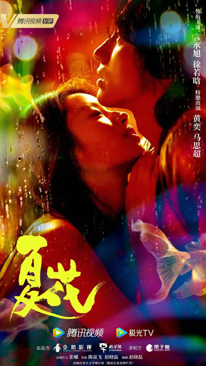 《夏花》全集1080P/4K电视剧资源下载
